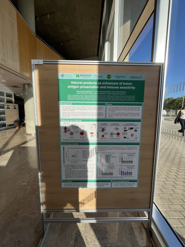 Foto poster